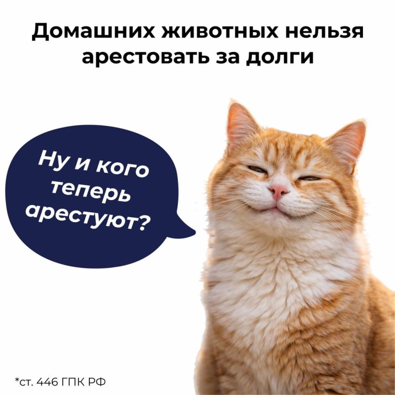 �������� �������� ������ ������������ �� �����