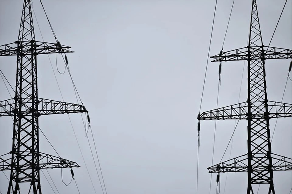 Сальдо поручил усилить контроль над электроснабжением в трех округах Херсонщины