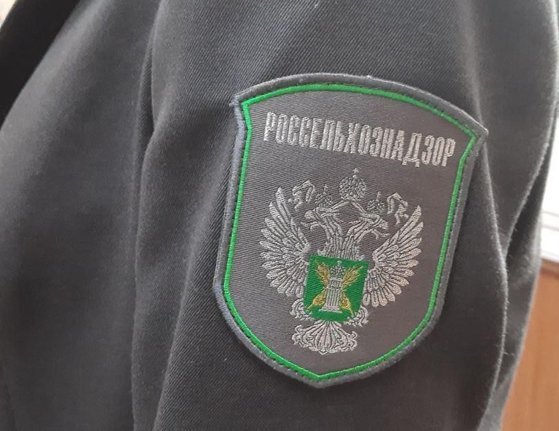 ������������������ �������� �������������� � ��������� �������� ����������� �����������