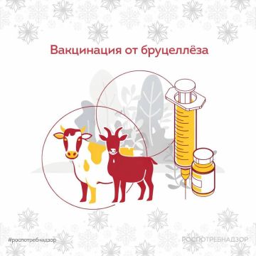 ���������� ��� ���� ������������ ���������