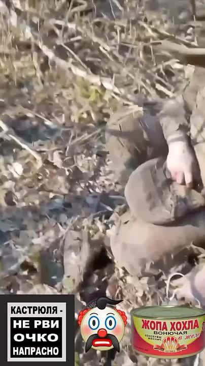 ������� ��������. ��������-����� ���������� �������