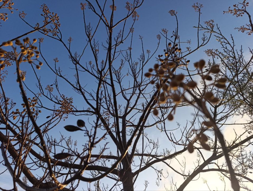 ���� ��������: ������ ����, ������ � ����� ����������� ������!