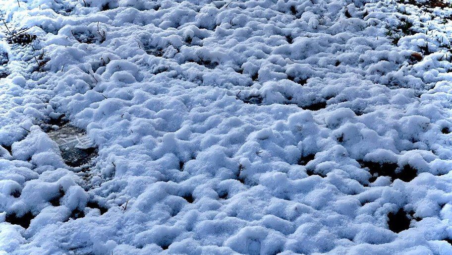 ������ �������. ������� ���� ����� �������� � ���������� ����������� ��������� ������