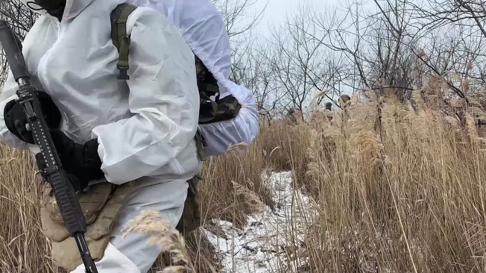 ���� �� �������: ������������� �������� ����������� ����� ������ � ������� ������ ��� �������������� �������� � ������� ����� � ��������� ���� ������ ������ � ���������� �������