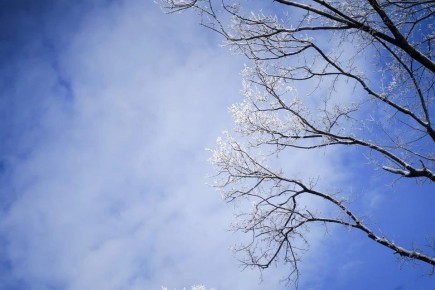 � ���������� ������� ��������� ������, ���������� � �������� ����� 9 �������