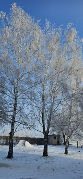 ������� ���� �����������, ������!