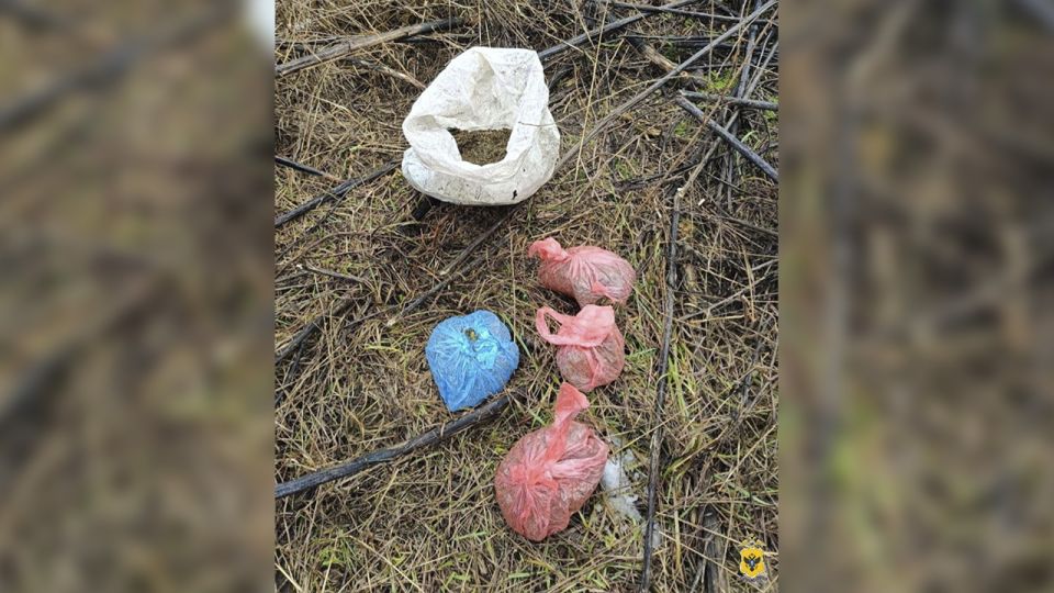 Полицейские нашли у жителя Херсонской области тайник с заготовленной дикорастущей коноплей