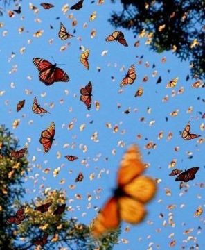 ������ ��� �������. ���� �������-���������� �� ����������� �������� � ������ ������������ ����, ��� ����� �������: ������-�� ����� ������ � ��������! ���� � ������� ��������� � ��� �� ���������! � ���-�� ����� ������, ����...