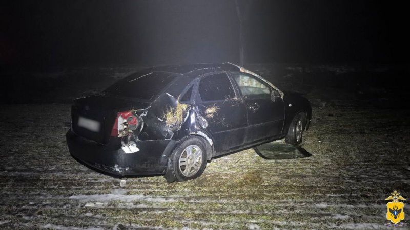 � ���������� ������ ����������� ������������� �������������� ��� � ����� �������������