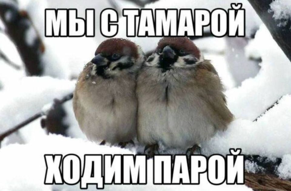 � ���������� ������� ��������� ��������