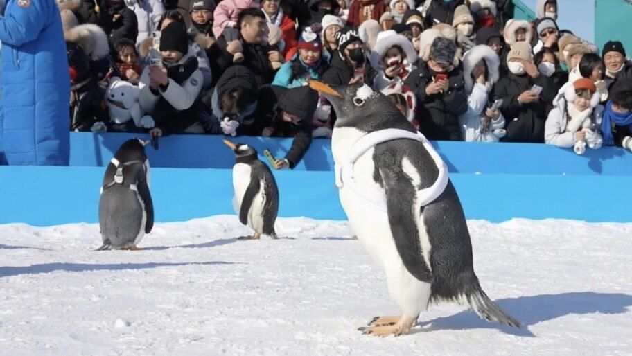 ������� ����� ��������� ������ � �����