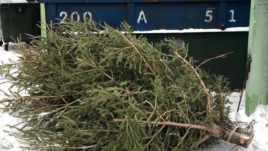 ������� �� ���������� ������� ��������� 114 ����