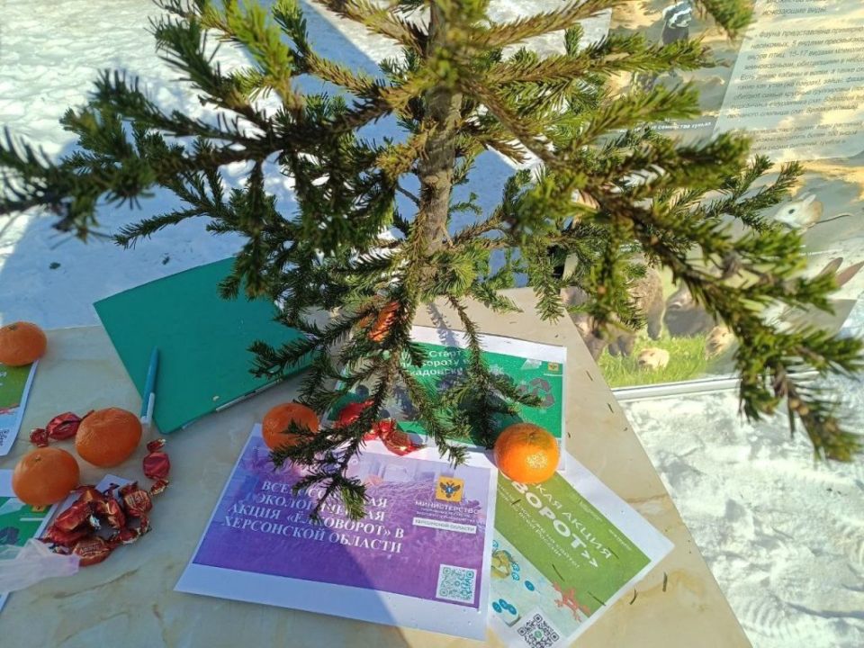 � ���������� ������ 114 ���������� ���� ��������� �� ����� ������ ������