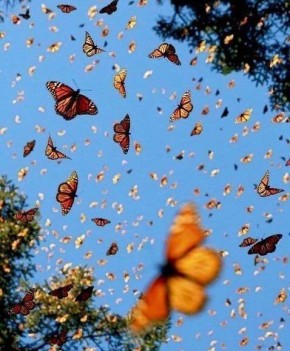 ������ ��� �������. ���� �������-���������� �� ����������� �������� � ������ ������������ ����, ��� ����� �������: ������-�� ����� ������ � ��������! ���� � ������� ��������� � ��� �� ���������! � ���-�� ����� ������, ����...