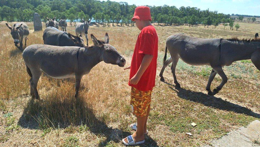 �������� ������ ����� �������� �����������, ����� ����������� � ���������� �������