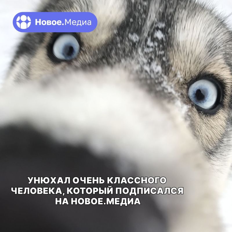 ���� � �� ���-�� ����� � ��� ��������� �����, ��� ���������� ������