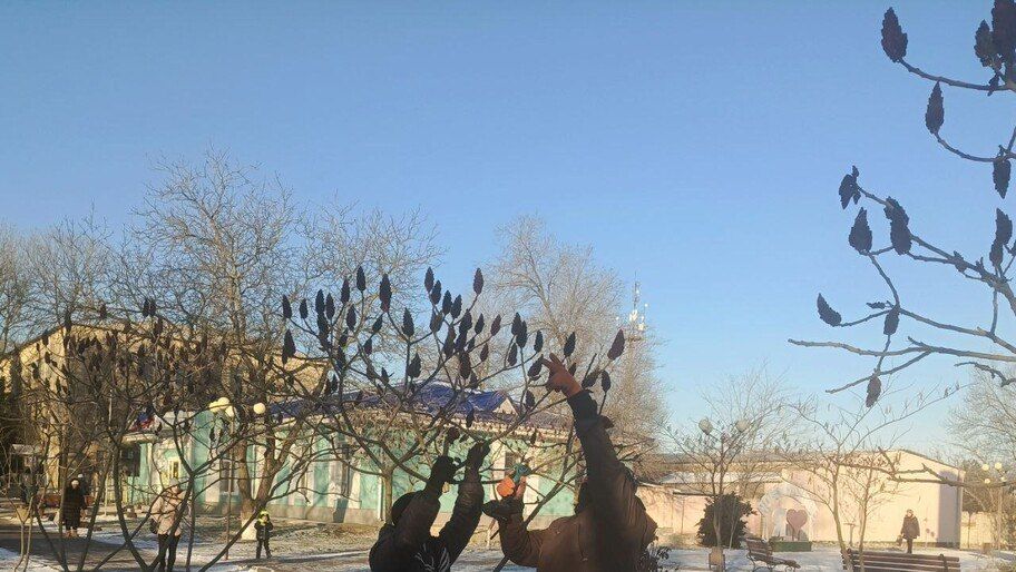 � ������������ ������� ������� ������ ��������� ������