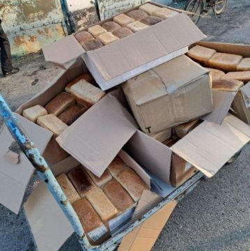 ������������ ������ ��� ������: ���� ��������� � ��������� ��������