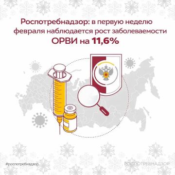 ���������������: � ������ ������ ������� ����������� ���� �������������� ���� �� 11,6%