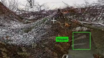 ���� �� �������: ������� ���������������� ����������� ���������� �Zala�, ������������� ����������� ������� � FPV-������ ���ͻ, ����������� �� �������������� �������� ������������� ����� ����������� ������ 18-� �������������...