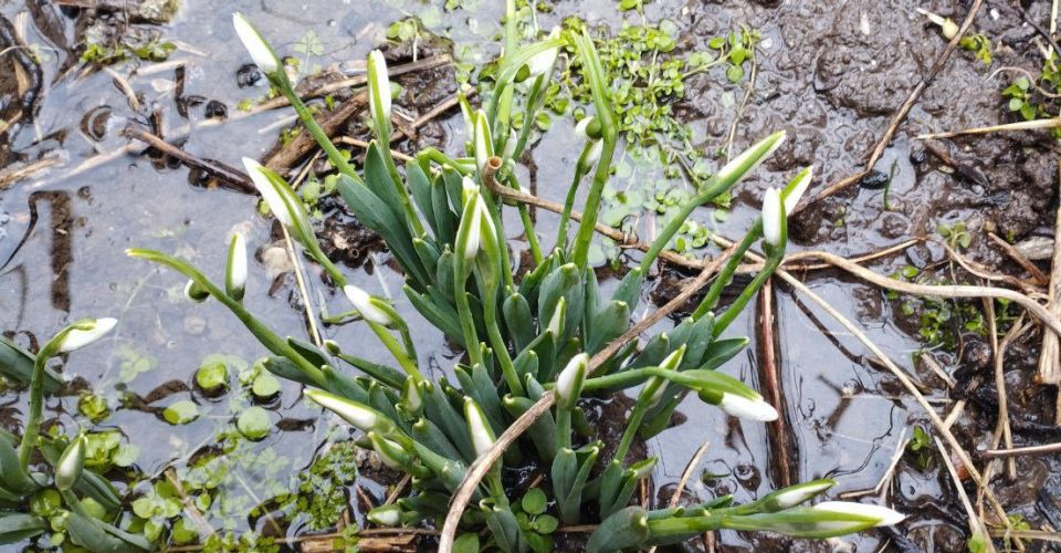 ������ ����, ������� �������!