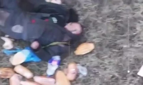 ��� ������� ������������� �� ������������ ����, ������������� �������� ������� � ����������� ������� ������ ����� �������� ���������� �������, �������� ����� �� �����