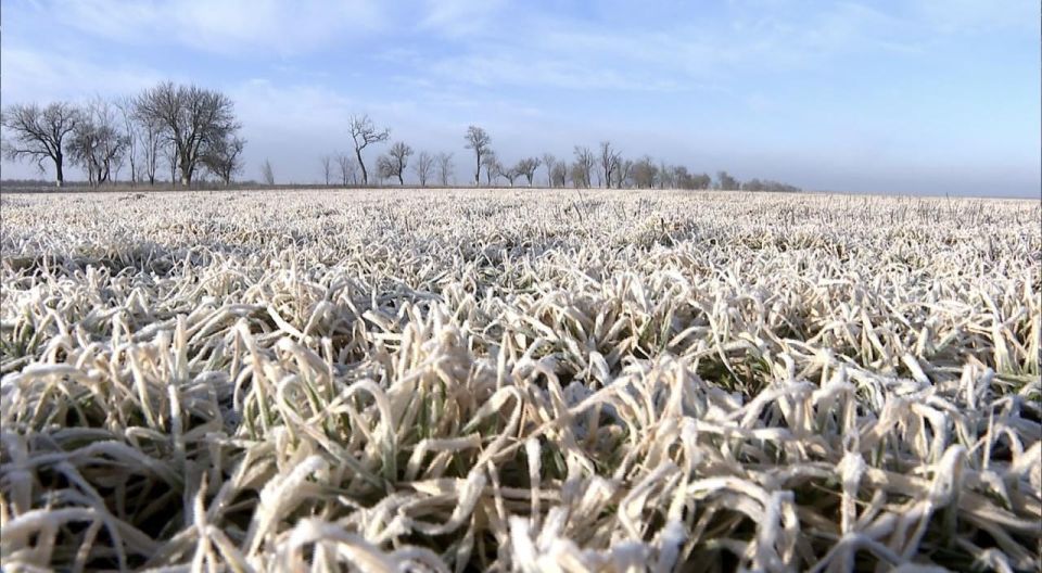 � ���������� ������� ������� ������ ������������� ������ �������