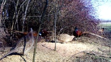 ������������ ����� � ������������ ��������: ������ ��� ����������