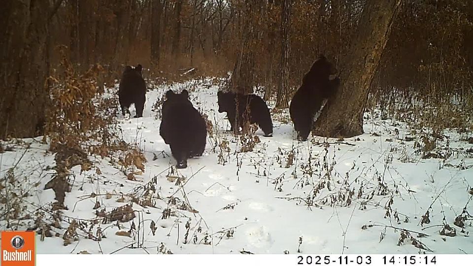 ����� � �������� ���� � ���������� ����� �� �������� �������