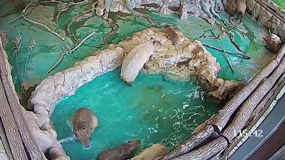 ������� ������� ������ � ��������� ������