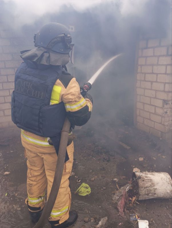 ����� � ������ ����������� 11-� �������-������������ ����� ������� �� ������