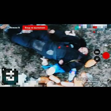 ������� �������: ������� ���� ��������������� ���������� ������ ������ �����, ������� ����� � ����� �������� �������� � �����������