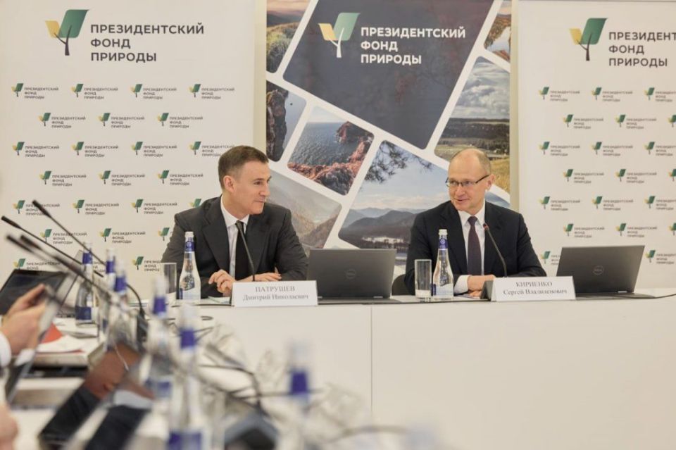 ���������� ��������-���� ����������� ������� ������ ��������� �������������� ������