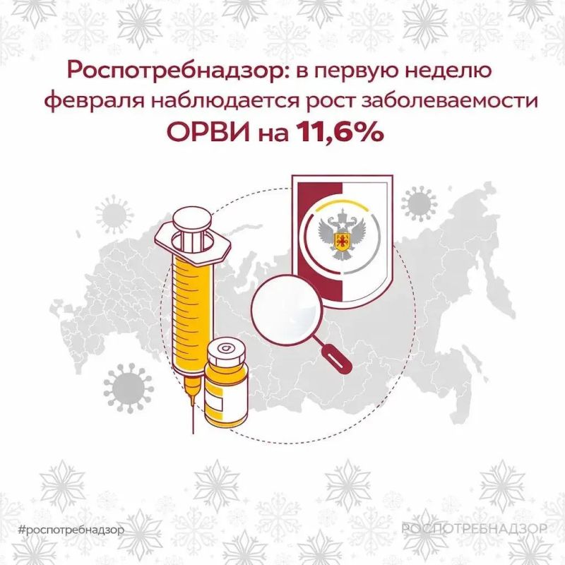 ���������������: � ������ ������ ������� ����������� ���� �������������� ���� �� 11,6%