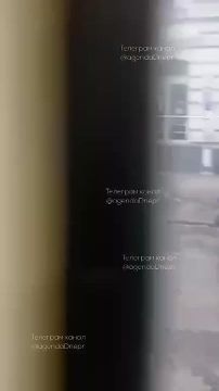 � ���� ����� ��� ���������: