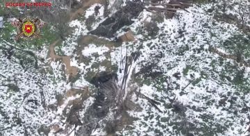 Енот из Херсона: Операторы 4 военной базы бьют по ВСУшникам в н.п. Орехов