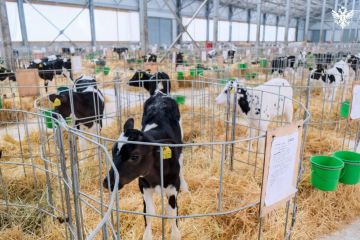 ������ ��������� ��������� �������� � ���������� ������� � 2026 ����