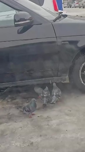 � ���� �������� ������ ������� ������� �� ������