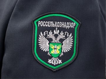 Россельхознадзором вынесено 34 предостережения херсонским аграриям за нарушения в области карантина растений