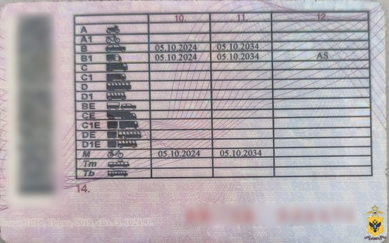 В Геническе округе полицейские изъяли у водителя поддельное водительское удостоверение