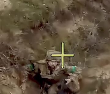 ��������� �������: ����������� ����� ����������� ��������������� ����� � xox�� � ���