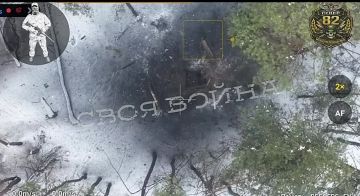 ������ ������ ���������� ������ 82 ��� �� ���������� �����������