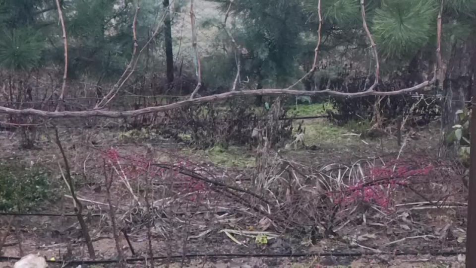 ���� ��������: ������ ����, ������ � ����� ����������� �������������� ������!