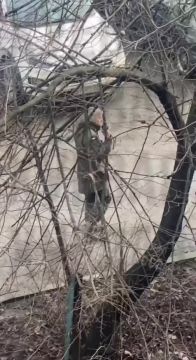 ���� �� �������: �������� ���������������� � ... ������� ���������. ��� �� ������, �� ������