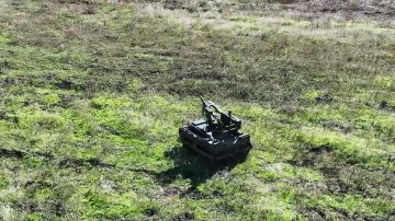 Енот из Херсона: Операторы НРТК «Омич» и «Курьер» Псковских десантников отрабатывают выполнение боевых задач на полигоне в тыловом районе СВО