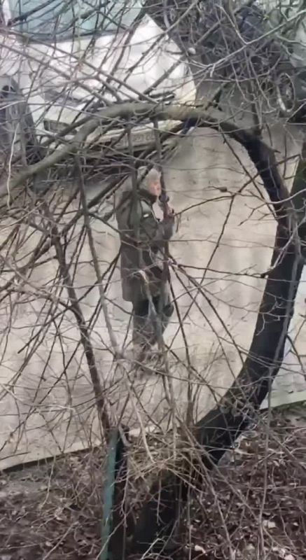 ���� �� �������: �������� ���������������� � ... ������� ���������. ��� �� ������, �� ������