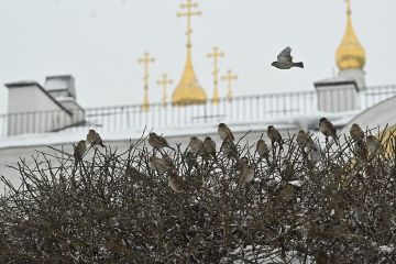 ���������� ������ ��������� ������������ ��������� �� ��������� ���������