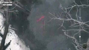 Работа операторов дронов 144 мсд по уничтожению складов с боеприпасами, блиндажей, укрытий и личного состава ВСУ на Рубцовском направлении