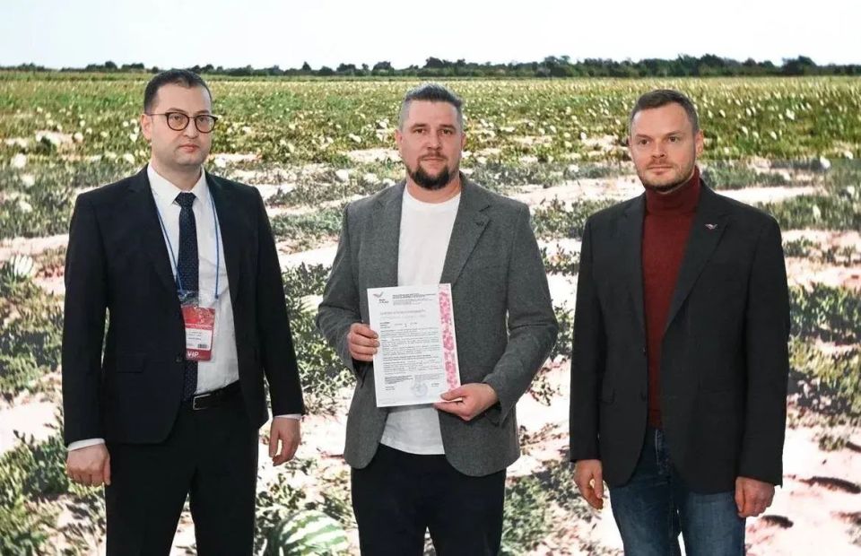 ���������� ������� ������� ����� ������� � ������������� �������� ����������-2026�, ������� ������ � ������