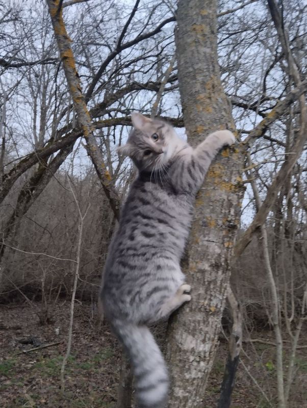 ������ ����, ������ � ����� ������������� ������!